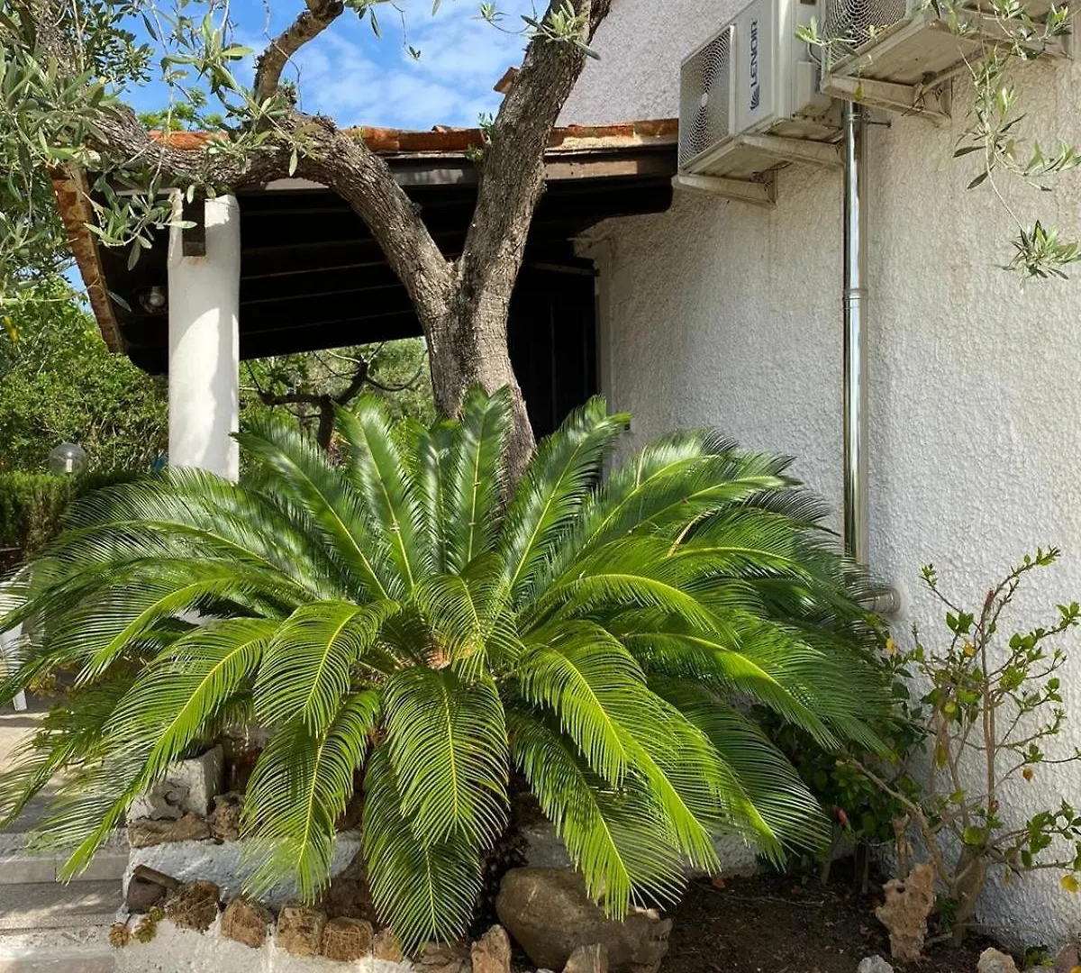 Domo Anghèleda la casa per le tue vacanze vicino al mare Alghero
