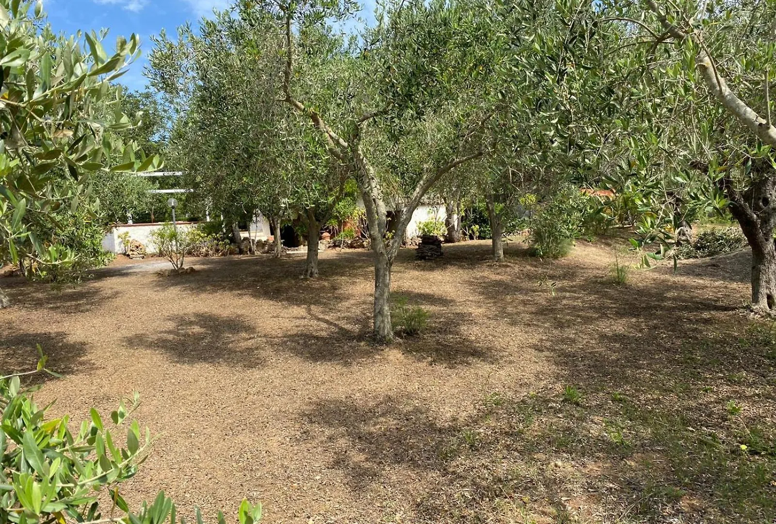 Domo Anghèleda la casa per le tue vacanze vicino al mare Alghero Italia