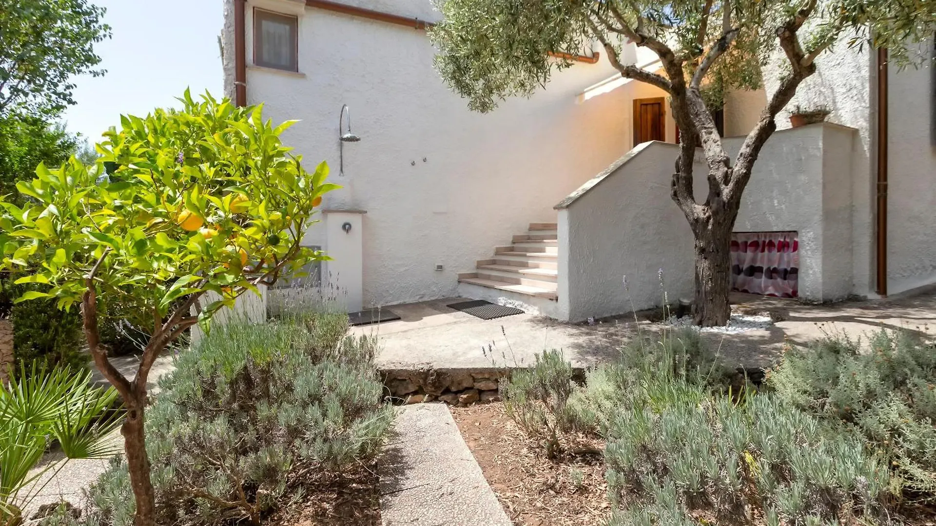 Domo Anghèleda la casa per le tue vacanze vicino al mare Alghero