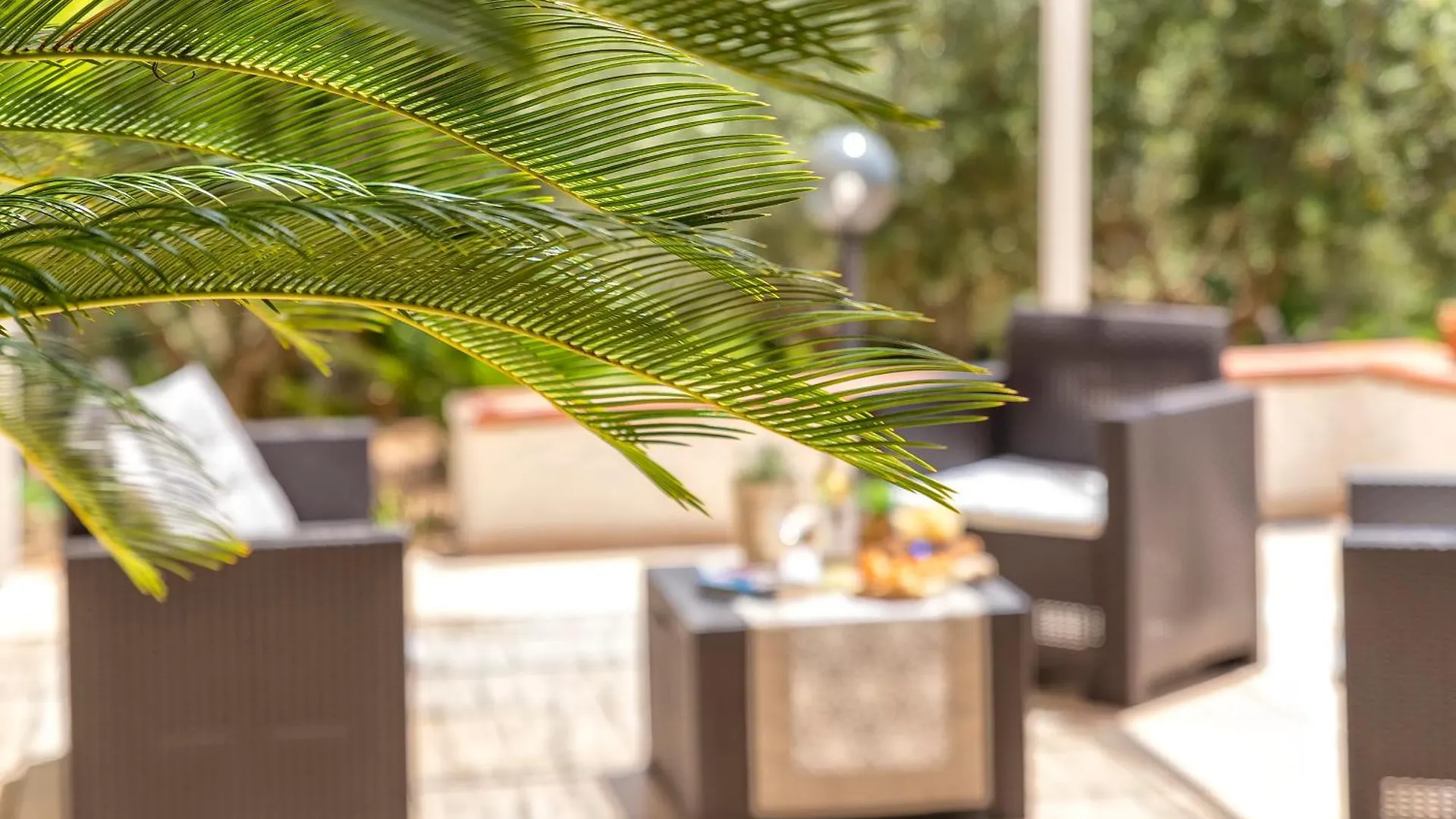 Hébergement de vacances Domo Anghèleda la casa per le tue vacanze vicino al mare Alghero